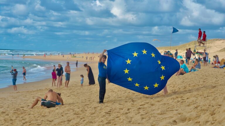 wybory do europarlamentu